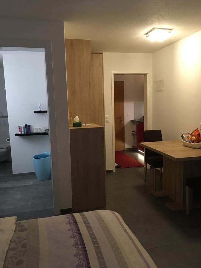 Studio Relax Apartment Visp Exterior foto
